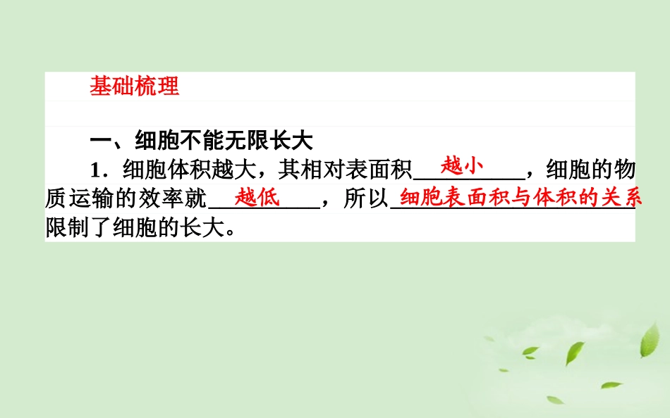 《师说》2013高考生物一轮复习-6.1-细胞的增殖课件-新人教版必修1_第3页