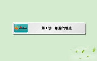 《师说》2013高考生物一轮复习-6.1-细胞的增殖课件-新人教版必修1