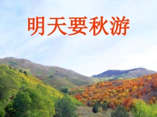 课文明天要秋游