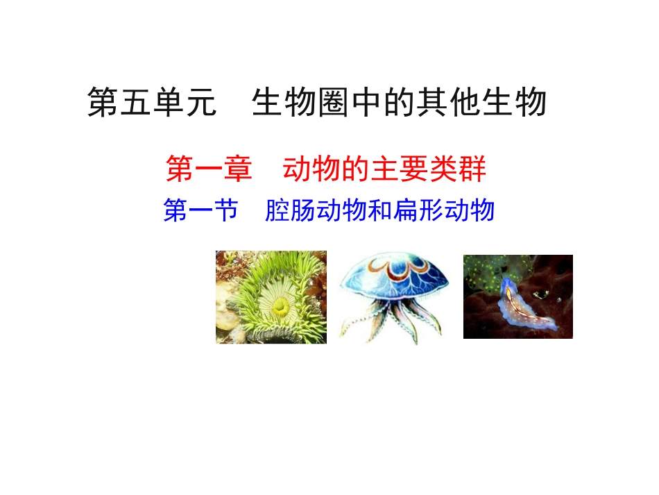 1、腔肠动物和扁形动物_第1页