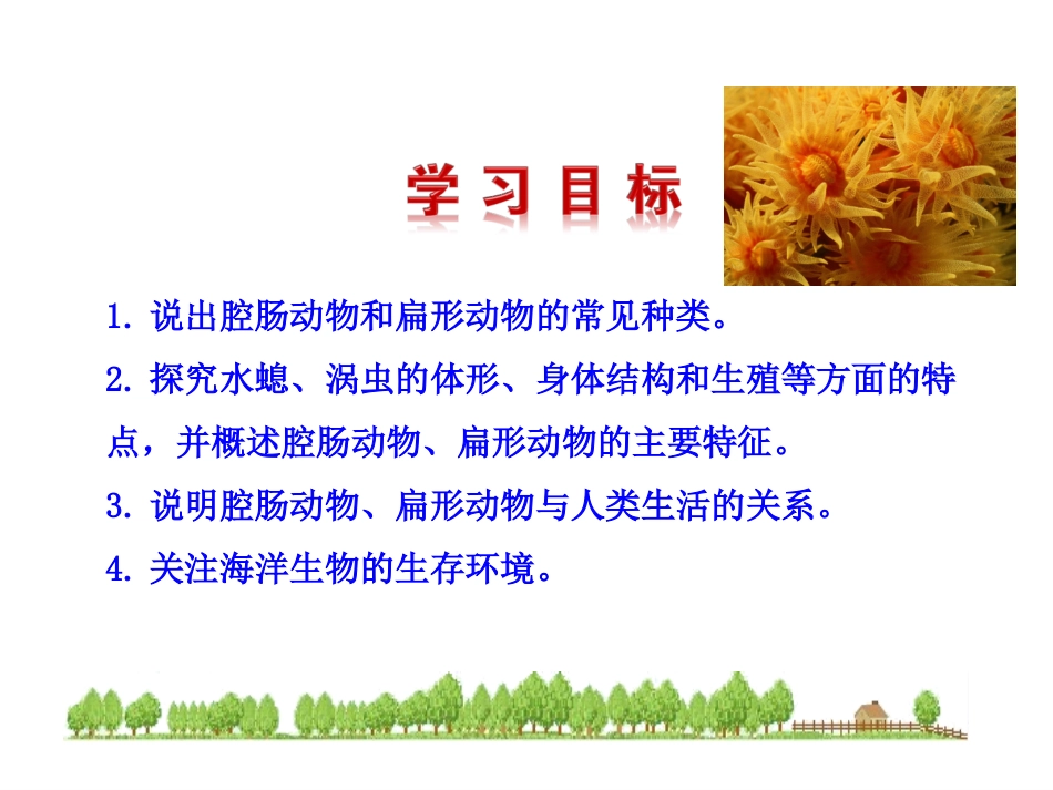 1、腔肠动物和扁形动物_第3页