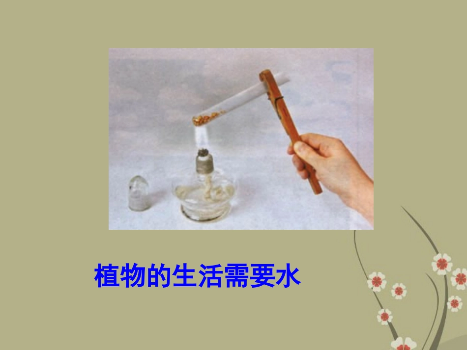 广州市白云区汇侨中学七年级生物上册《C3绿色植物与生物圈的水循环》课件-新人教版_第2页