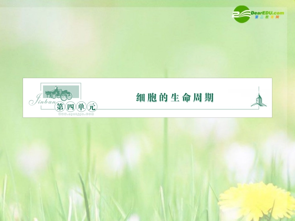 《金版》高中生物-第四单元-第一节细胞的生命周期课件-中图版必修1_第1页