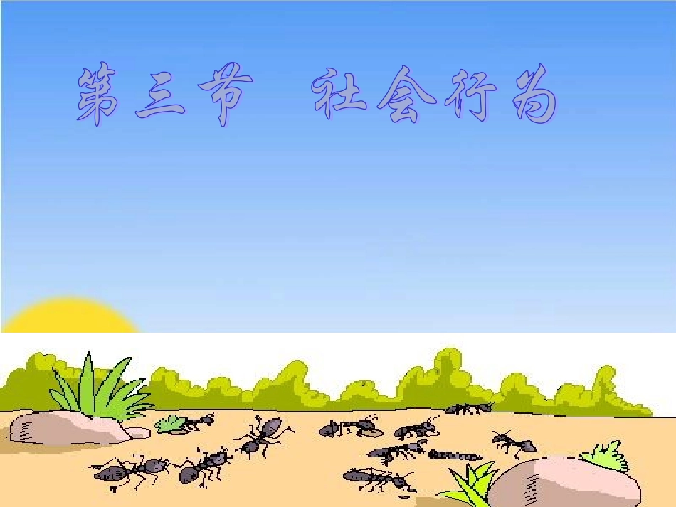 《社会行为》课件(1)_第1页