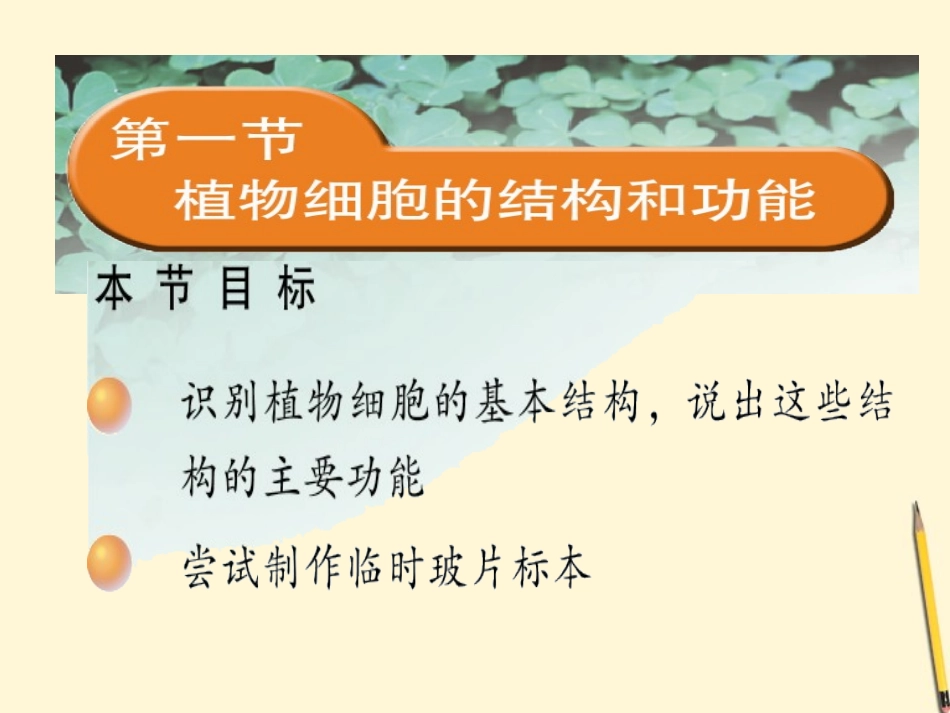 七年级生物上册《植物细胞的结构和功能》课件-苏教版_第1页