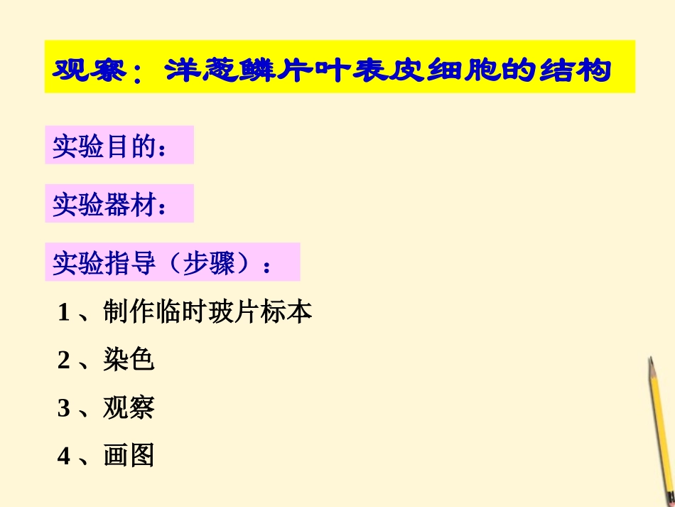 七年级生物上册《植物细胞的结构和功能》课件-苏教版_第3页