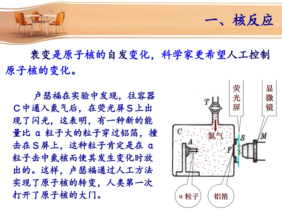 4-放射性的应用与防护_第2页