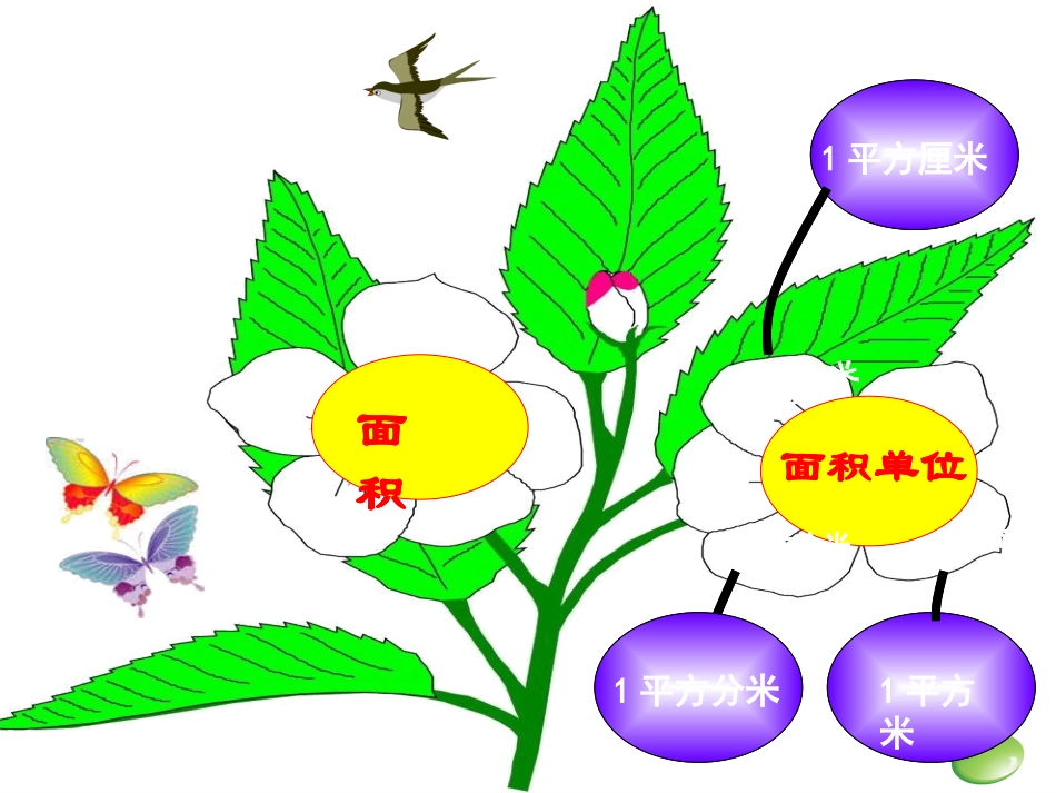 人教2011版小学数学三年级长方形、正方形面积计算-(3)_第2页