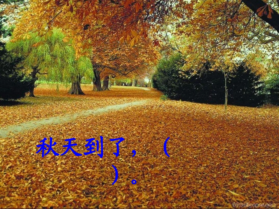 《秋天的图画》终稿ppt课件3(1)_第2页