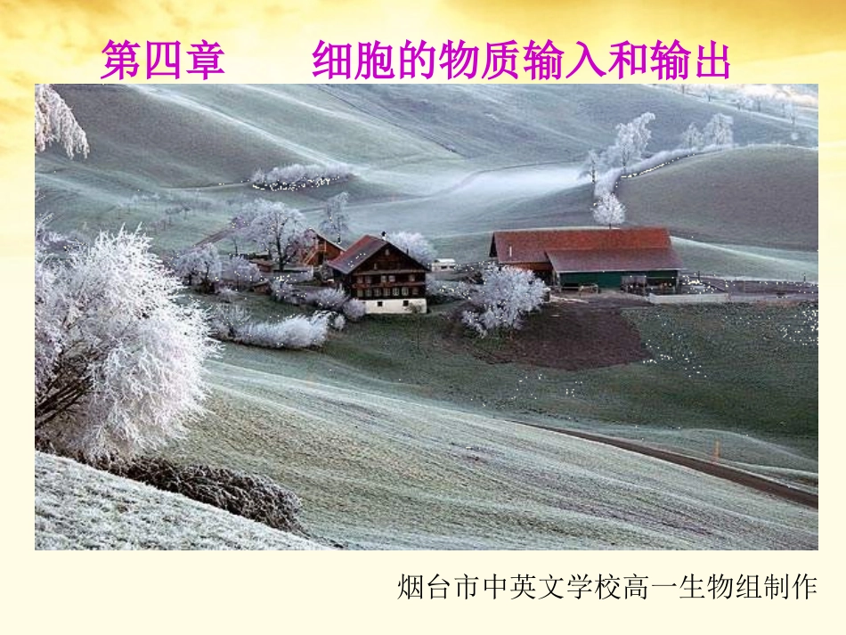 云南省红河州弥勒县庆来学校高一生物《必修一第四章细胞的物质输入和输出复习》课件_第2页