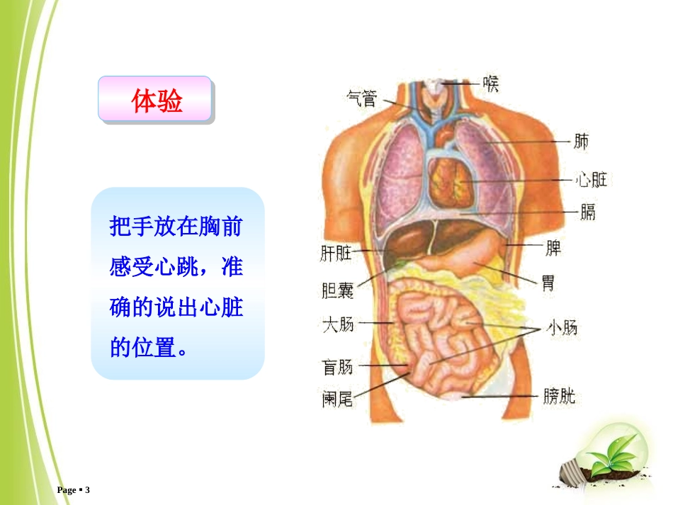 第三节输送血液的泵——心脏_第3页
