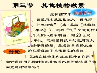 云南省弥勒县庆来中学2011-2012学年高中生物-其他植物激素-课件-新人教版必修3-