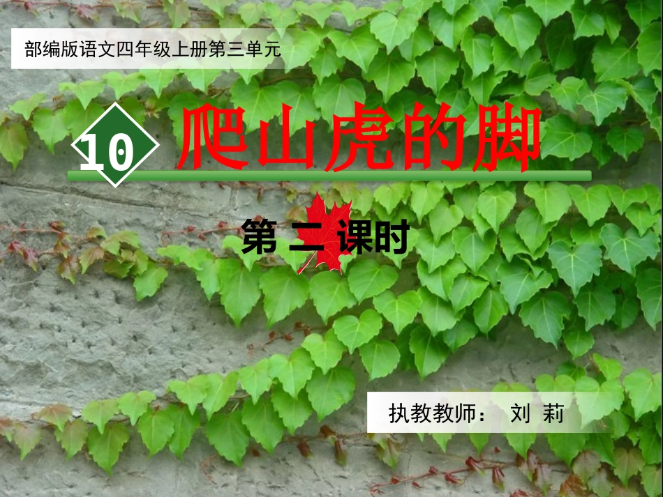 6《爬山虎的脚》第二课时_第2页