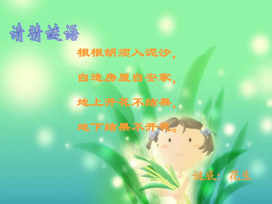 2014人教版语文五上《落花生》ppt课件_第2页