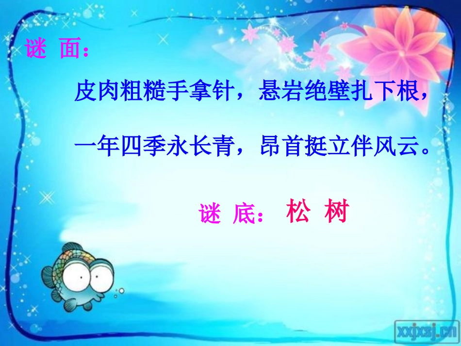 17《山谷中的谜底》课件_第1页