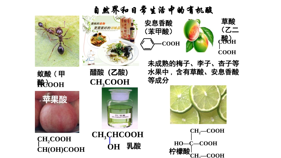 酒的氧化产物──乙酸_第2页