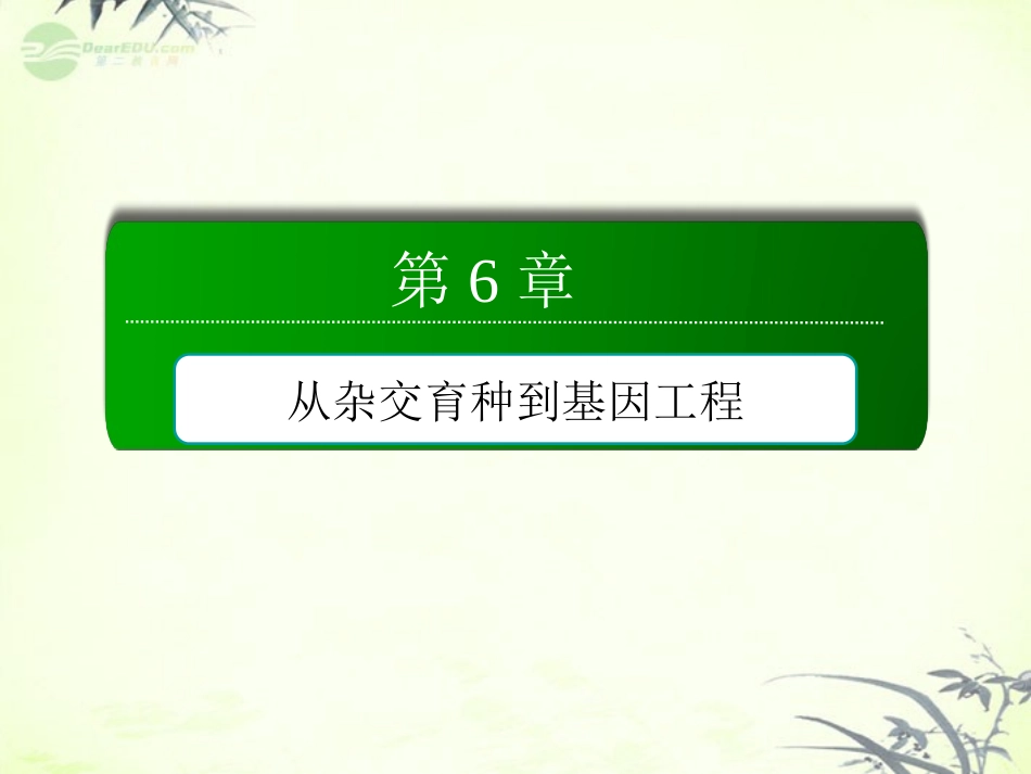 【红对勾】2013届高考生物一轮复习-第六章-从杂交育种到基因工程课件-新人教版必修2_第2页