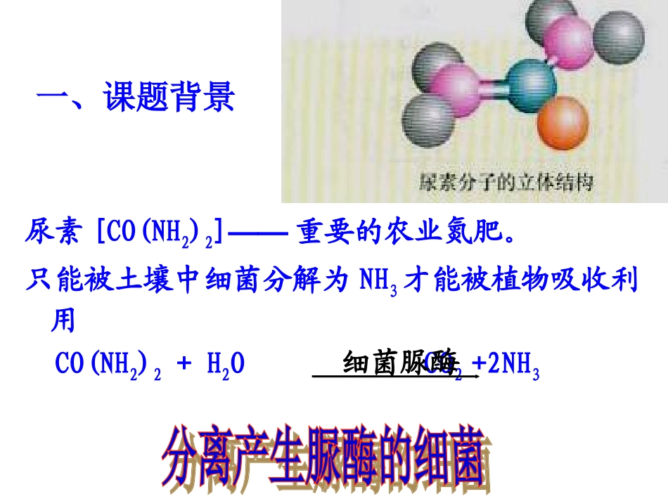 课题2-土壤中分解尿素的细菌的分离与计数-(6)_第2页