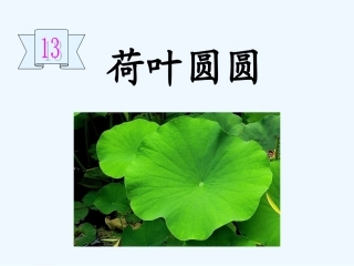 (部编)人教语文2011课标版一年级下册13、《荷叶圆圆》教学课件