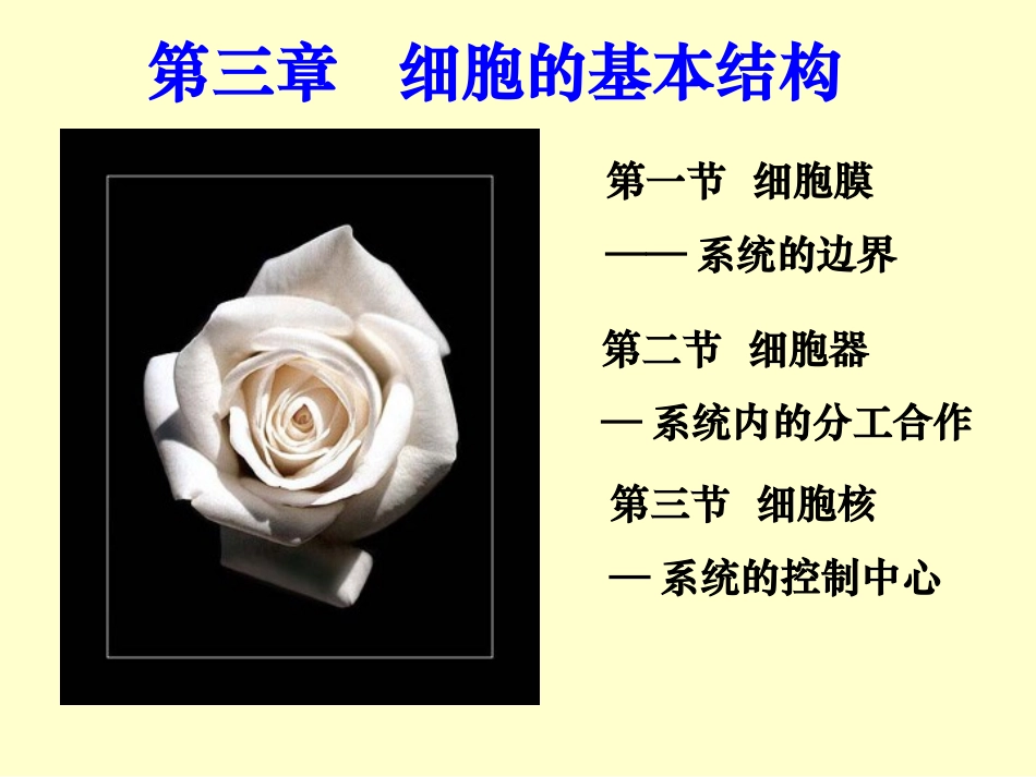 生物高中必修1第三章复习课件_第1页
