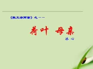 七年级语文上册-《荷叶-母亲》课件-人教新课标版