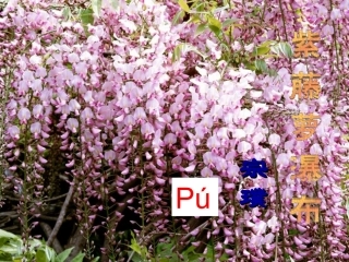 (部编)初中语文人教2011课标版七年级下册紫藤萝瀑布--(4)