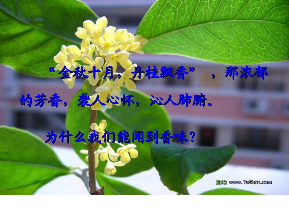 课题2分子和原子_第2页