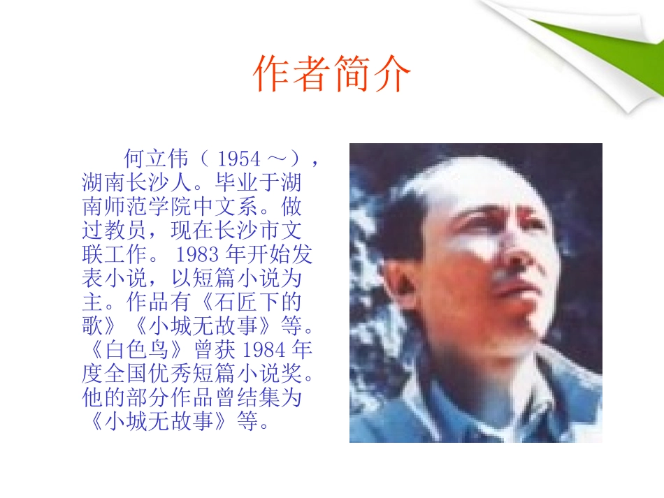 七年级语文上册《白色鸟》课件1-长春版_第2页