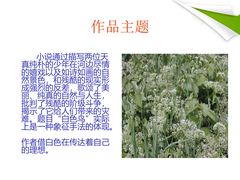 七年级语文上册《白色鸟》课件1-长春版_第3页