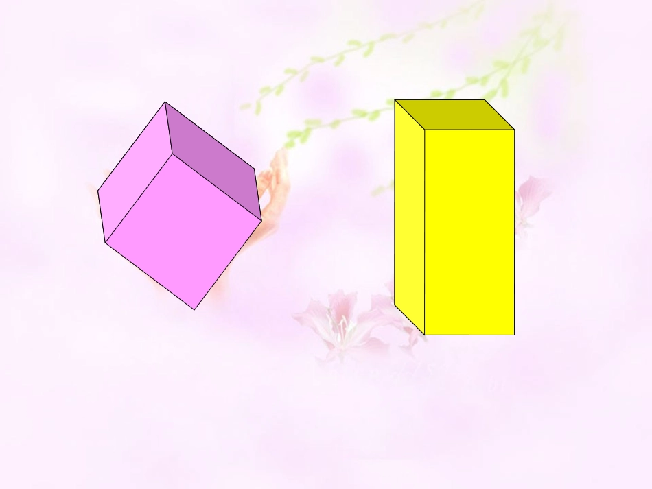 85圆柱的认识_第2页