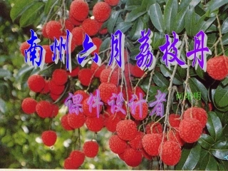 18.南州六月荔枝丹