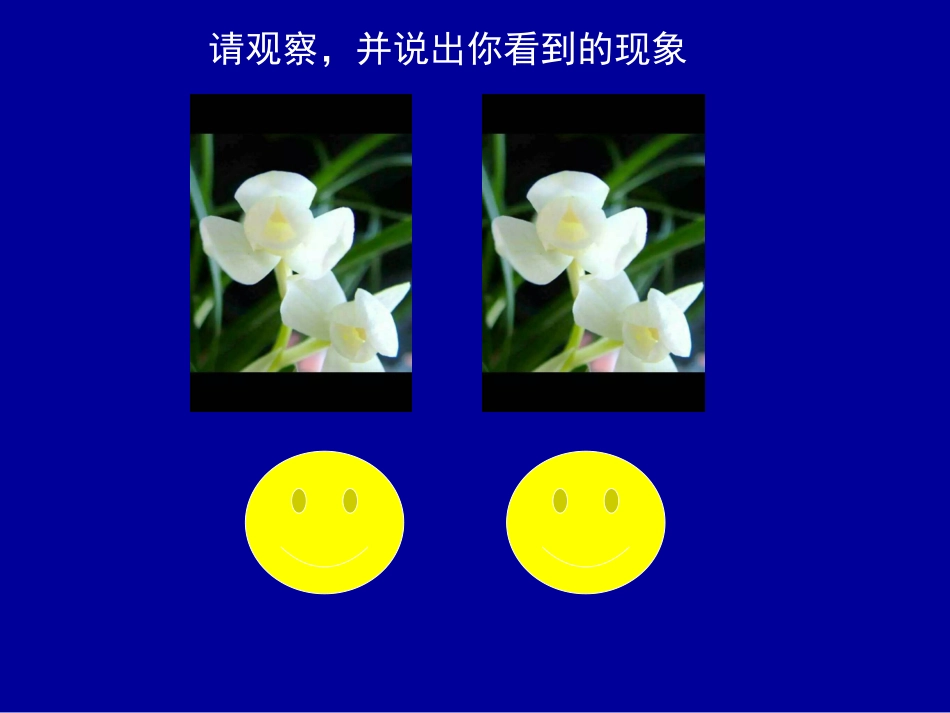 12.1-全等三角形--(2)_第2页