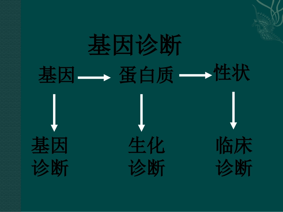 高中生物：-311-基因诊断和基因治疗(课件)中图版选修2_第3页