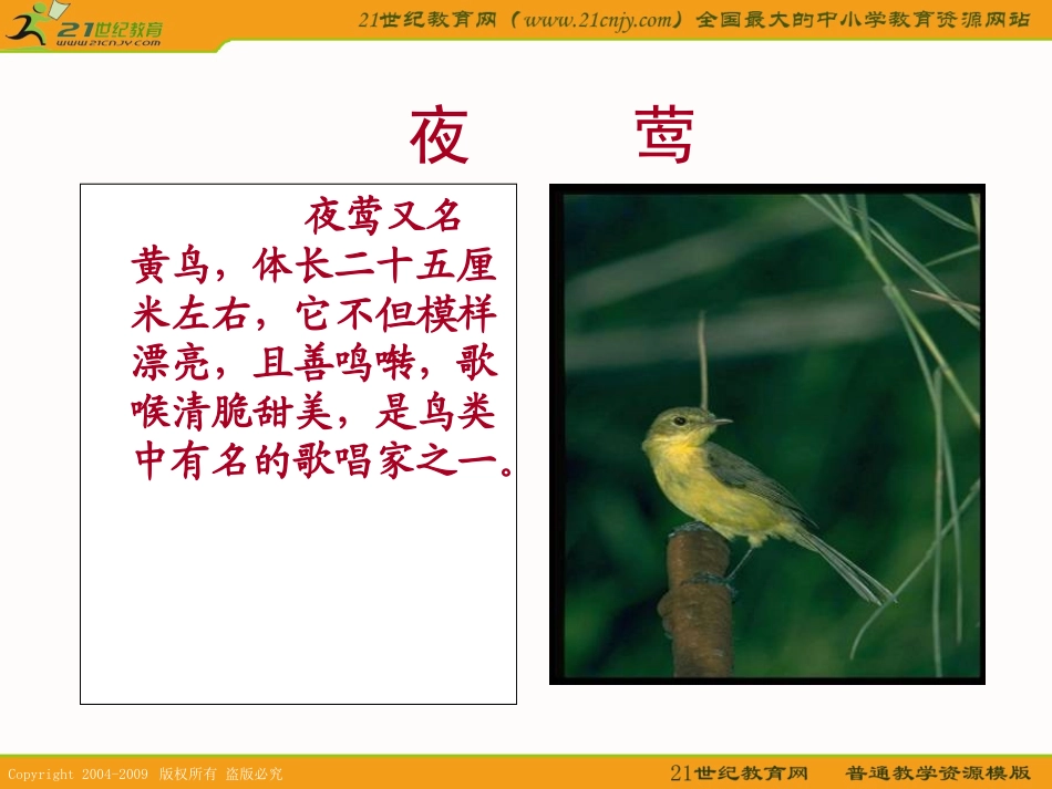 (人教新课标)四年级语文下册课件夜莺的歌声2_第2页