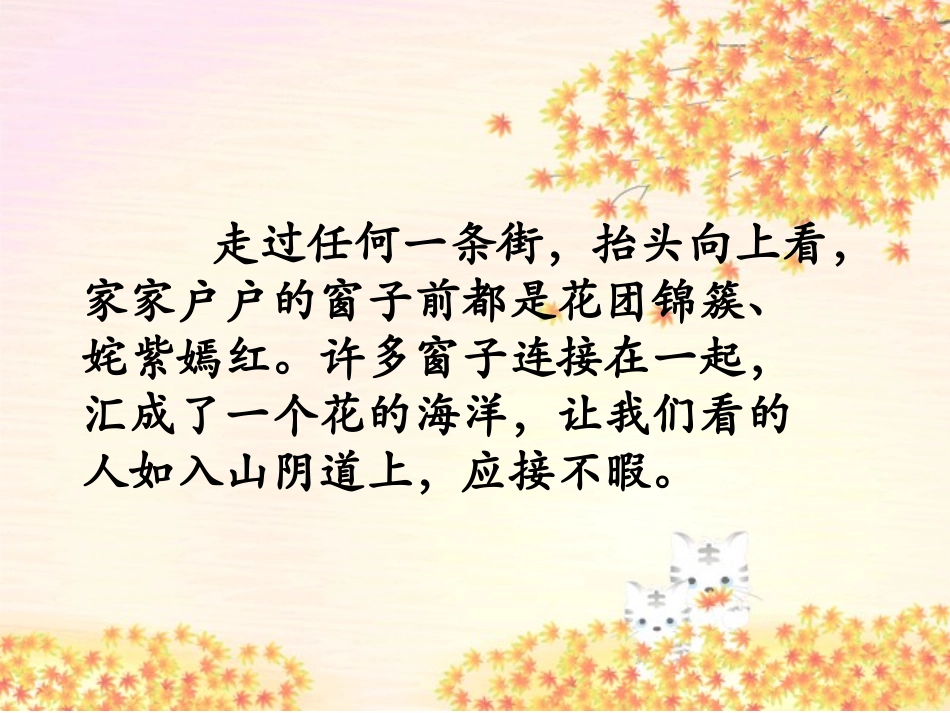 自己的花是让别人看的廖琛丽_第3页