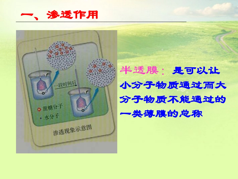 高中生物《第四章-第一节-物质跨膜运输的实例》课件3-新人教版必修1_第3页