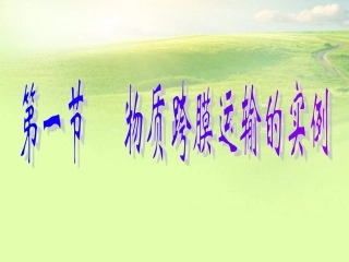 高中生物《第四章-第一节-物质跨膜运输的实例》课件3-新人教版必修1