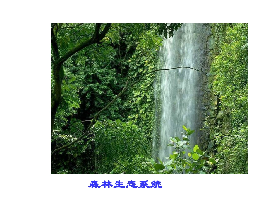 1、2、1多种多样的生态系统(第二课时)_第3页