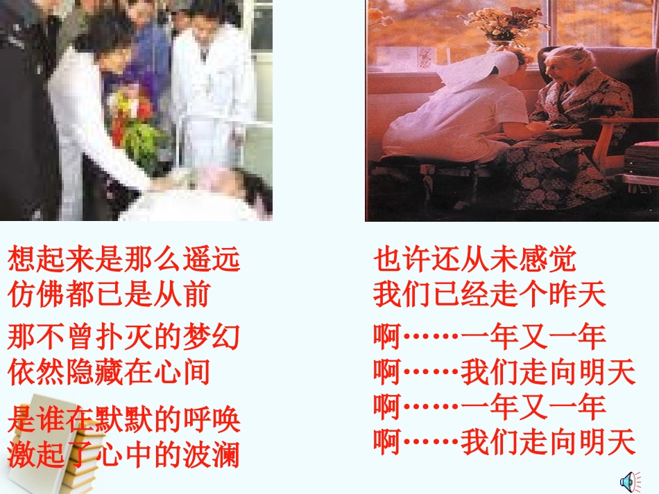 七年级语文上册-综合性学习1：让世界充满爱课件-鲁教版_第2页