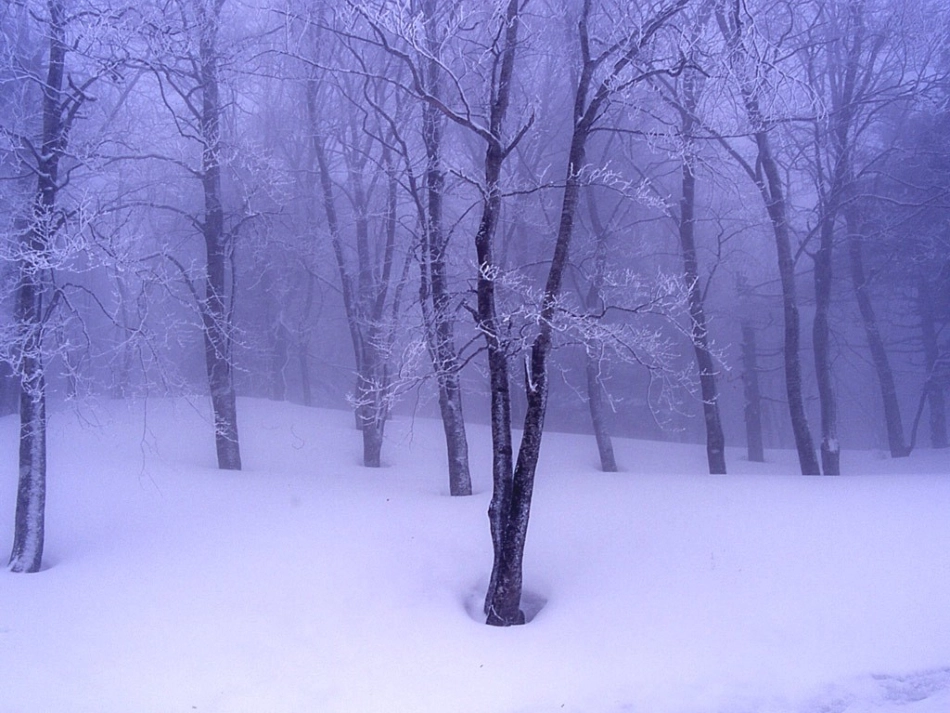 《松坊溪雪景》课件_第3页