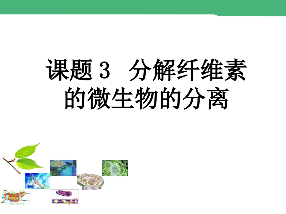 课题3-分解纤维素的微生物的分离-(4)_第1页