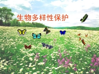 第四节生物多样性保护-(5)