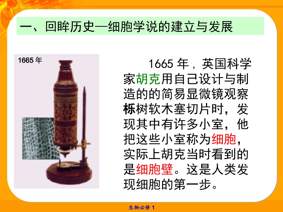 生物科学研究的重要工具——显微镜-(3)_第3页