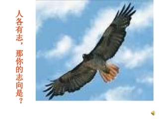 2敬业与乐业