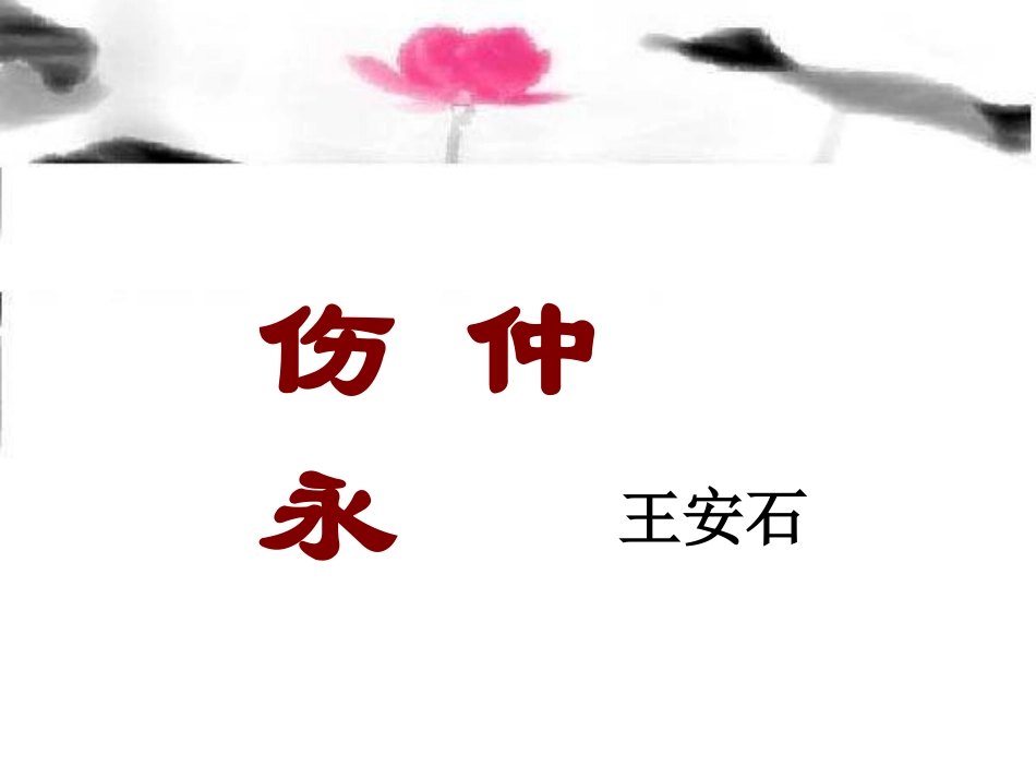 《伤仲永》课件_第1页