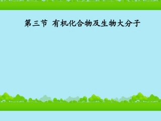 高中生物《有机化合物与生物大分子》课件10-浙科版必修1