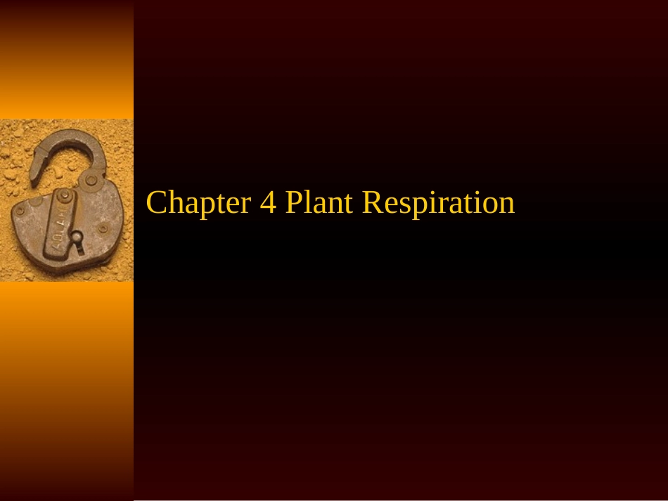 全国中学生生物学联赛植物生理学第四章_第1页