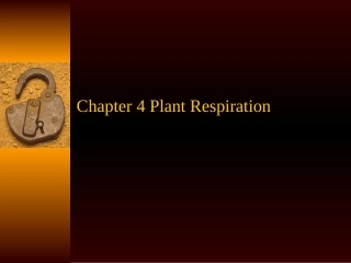 全国中学生生物学联赛植物生理学第四章