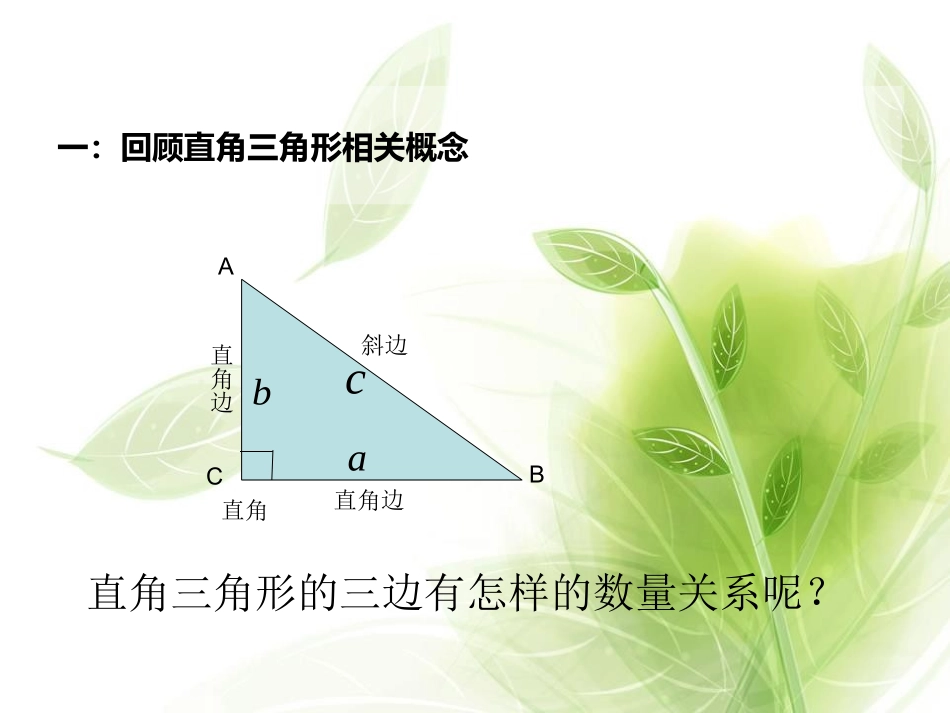 1.直角三角形三遍的关系_第2页