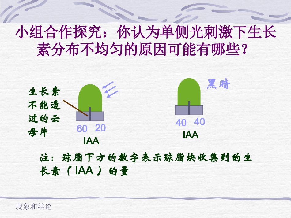 高中生物-3.2《生长素的生理作用》课件1-新人教版必修3_第3页